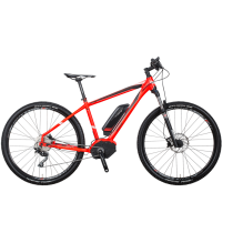 E-Bike Kreidler Vitality Dice 29er 1.0