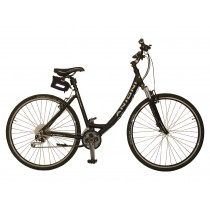 E-Bike ANJONI Turbo X 3.2w V