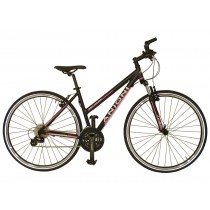 Crossrad Anjoni X 3.8 L